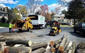 Grass Overseeding in Sackets Harbor, NY